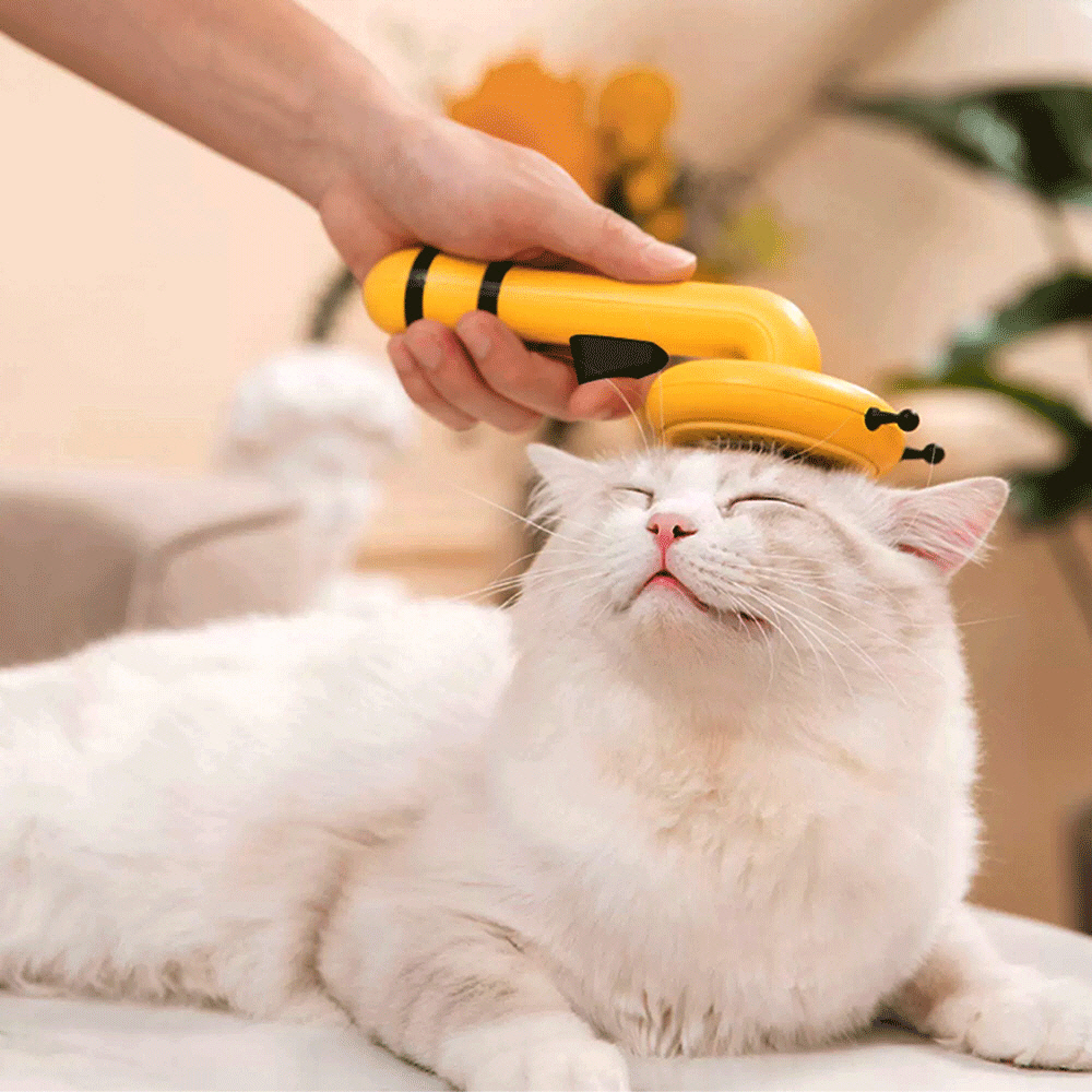 1697158556 thumbnail