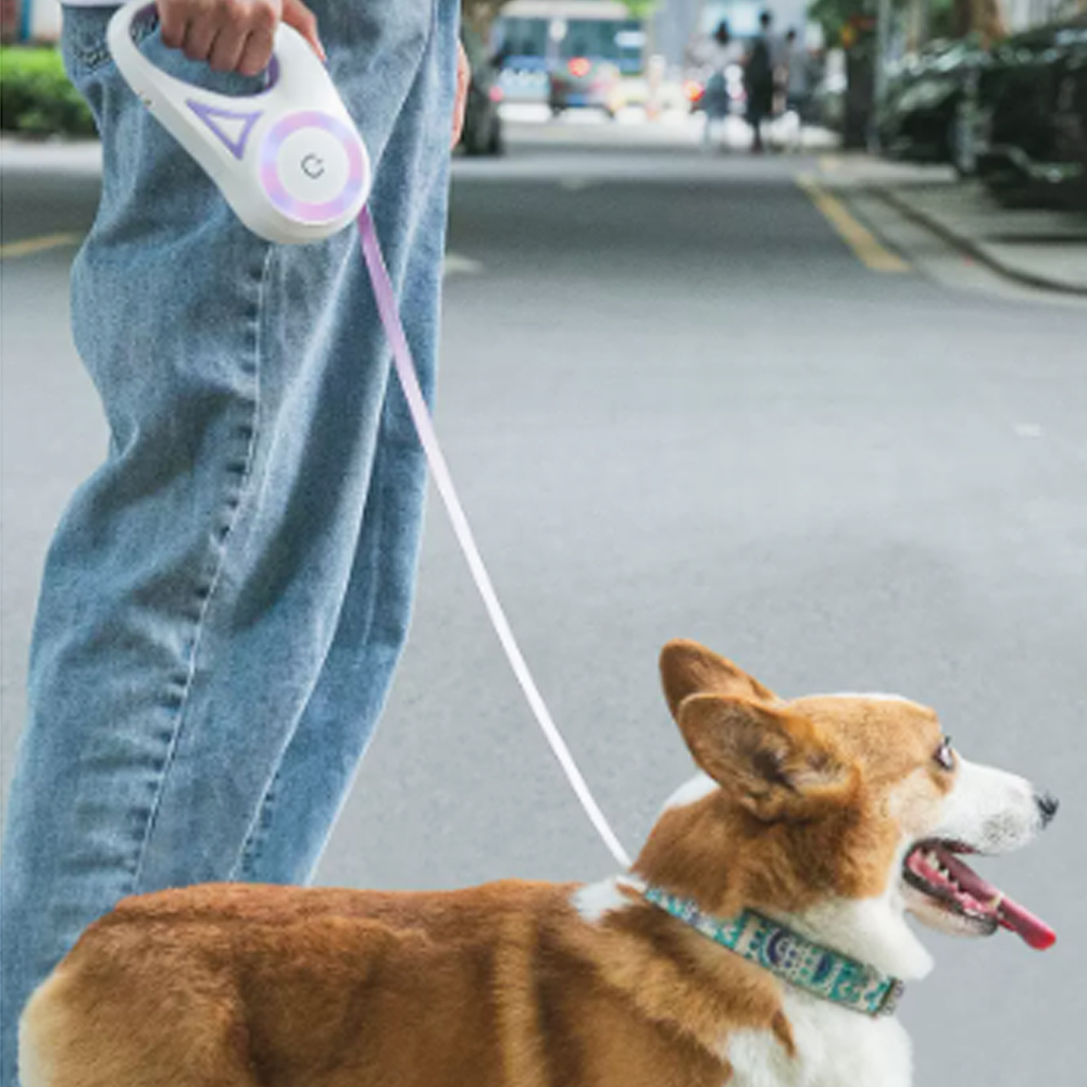 1697158557 thumbnail