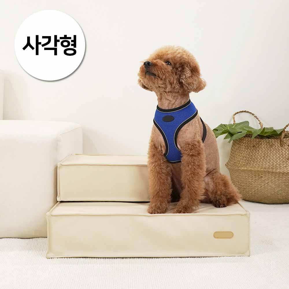 1697158559 thumbnail