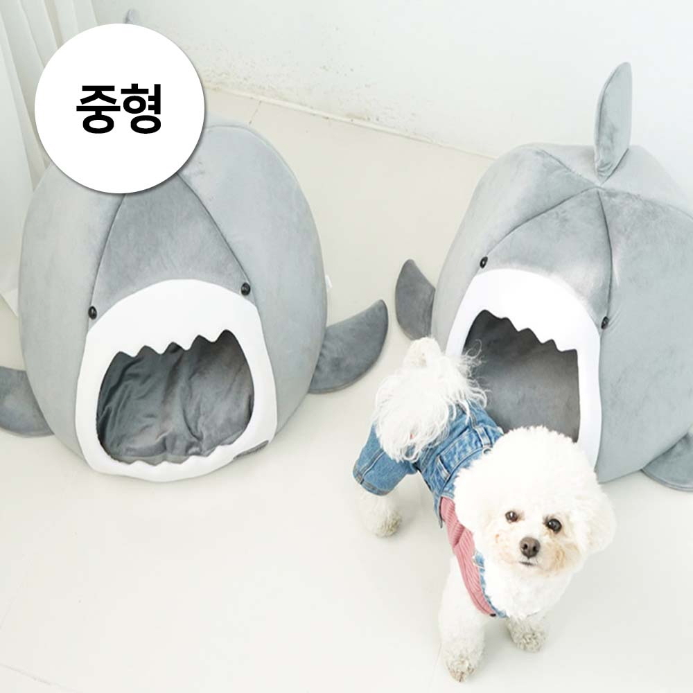 1697158562 thumbnail