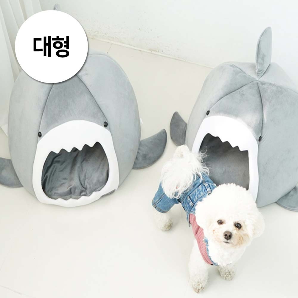 1697158563 thumbnail