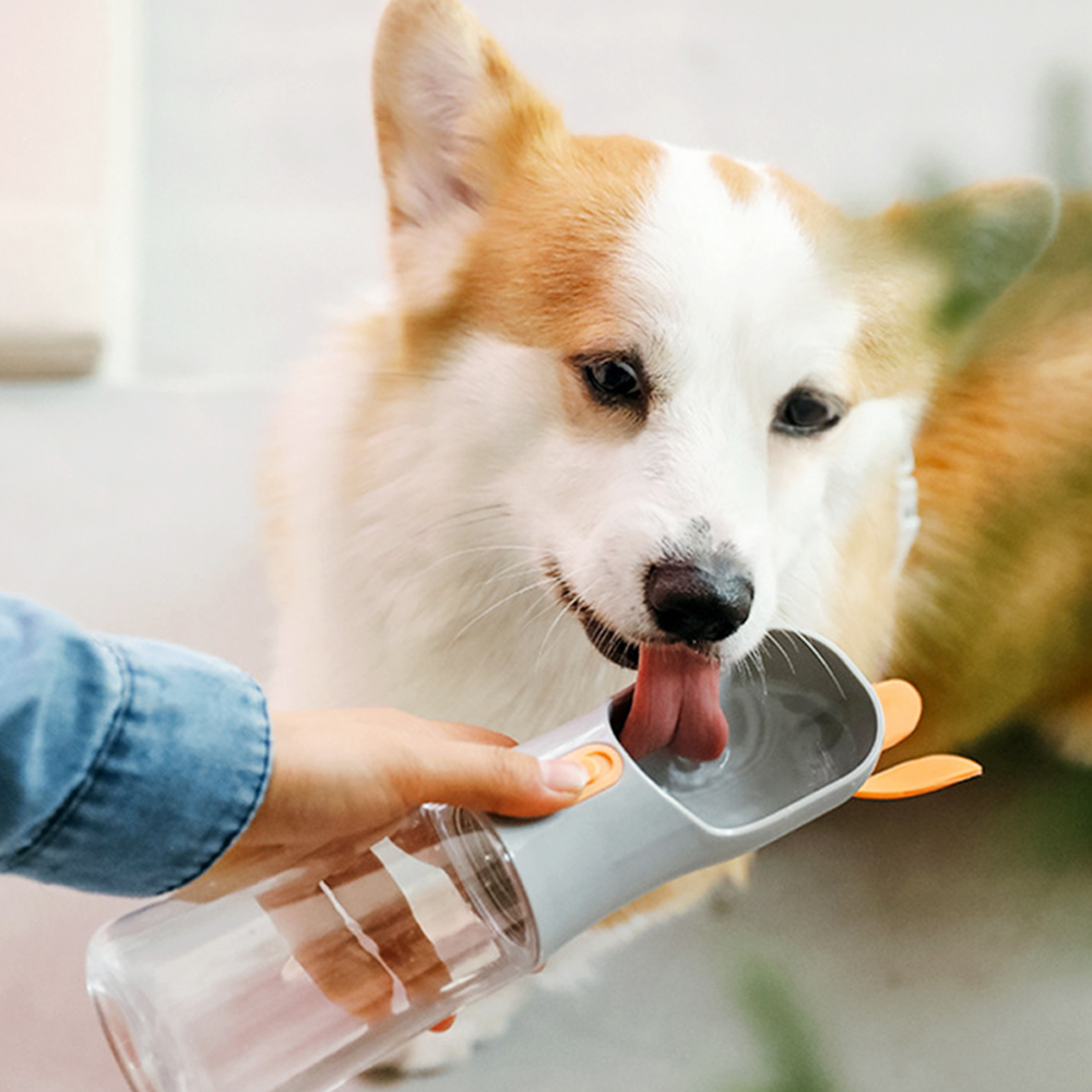 1697158572 thumbnail