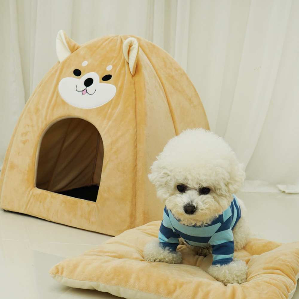 1697158576 thumbnail