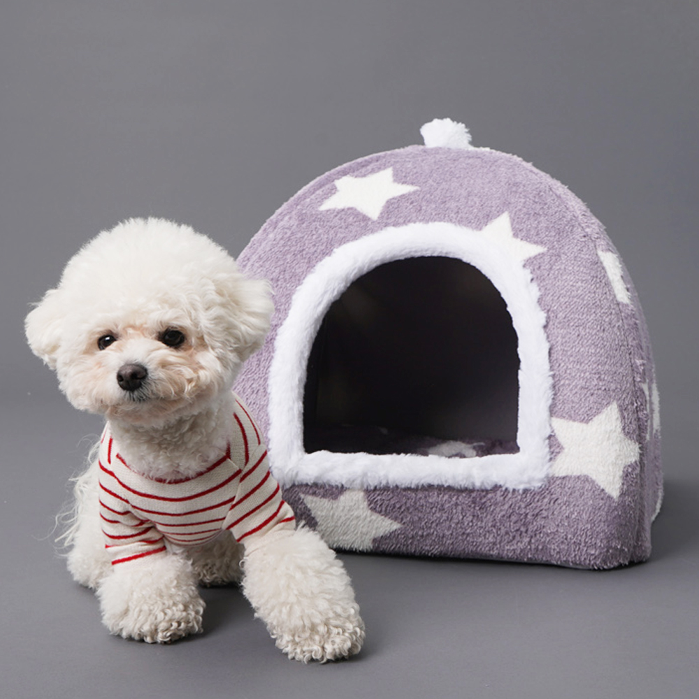 1697158577 thumbnail