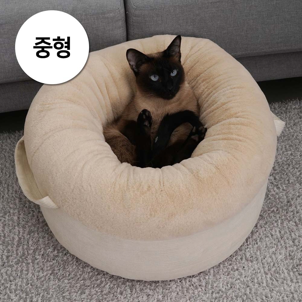 1697158578 thumbnail