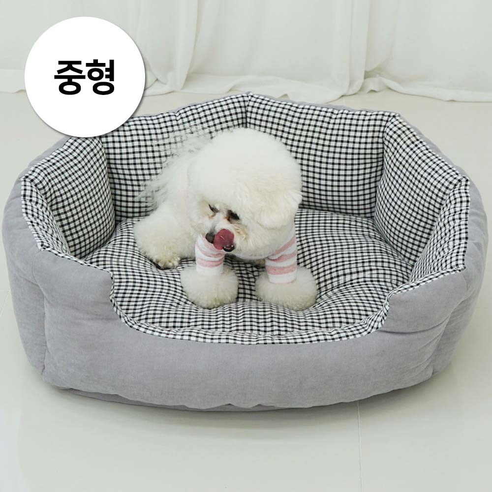 1697158581 thumbnail