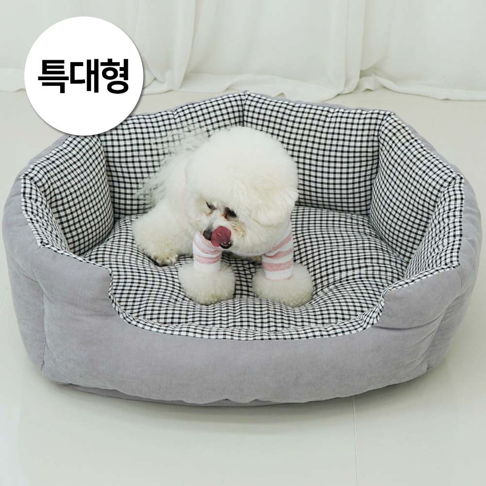 1697158583 thumbnail