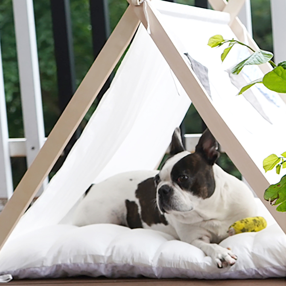 1697161767 thumbnail