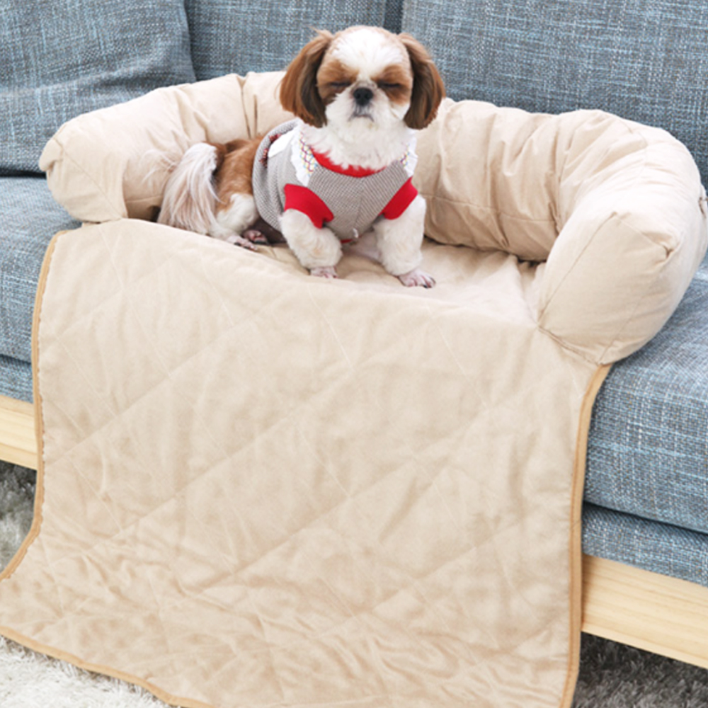 1697161768 thumbnail