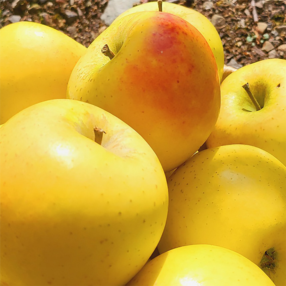 1697178164 thumbnail