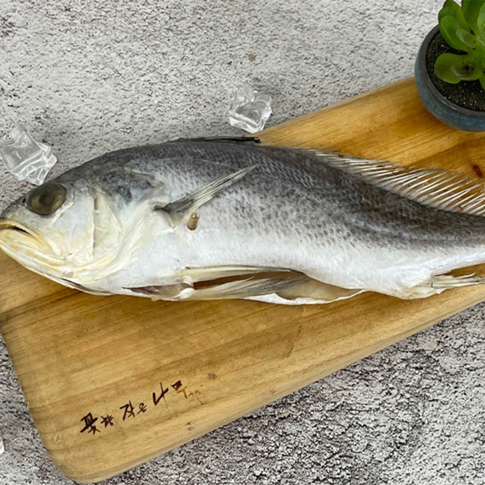 1697441436 thumbnail