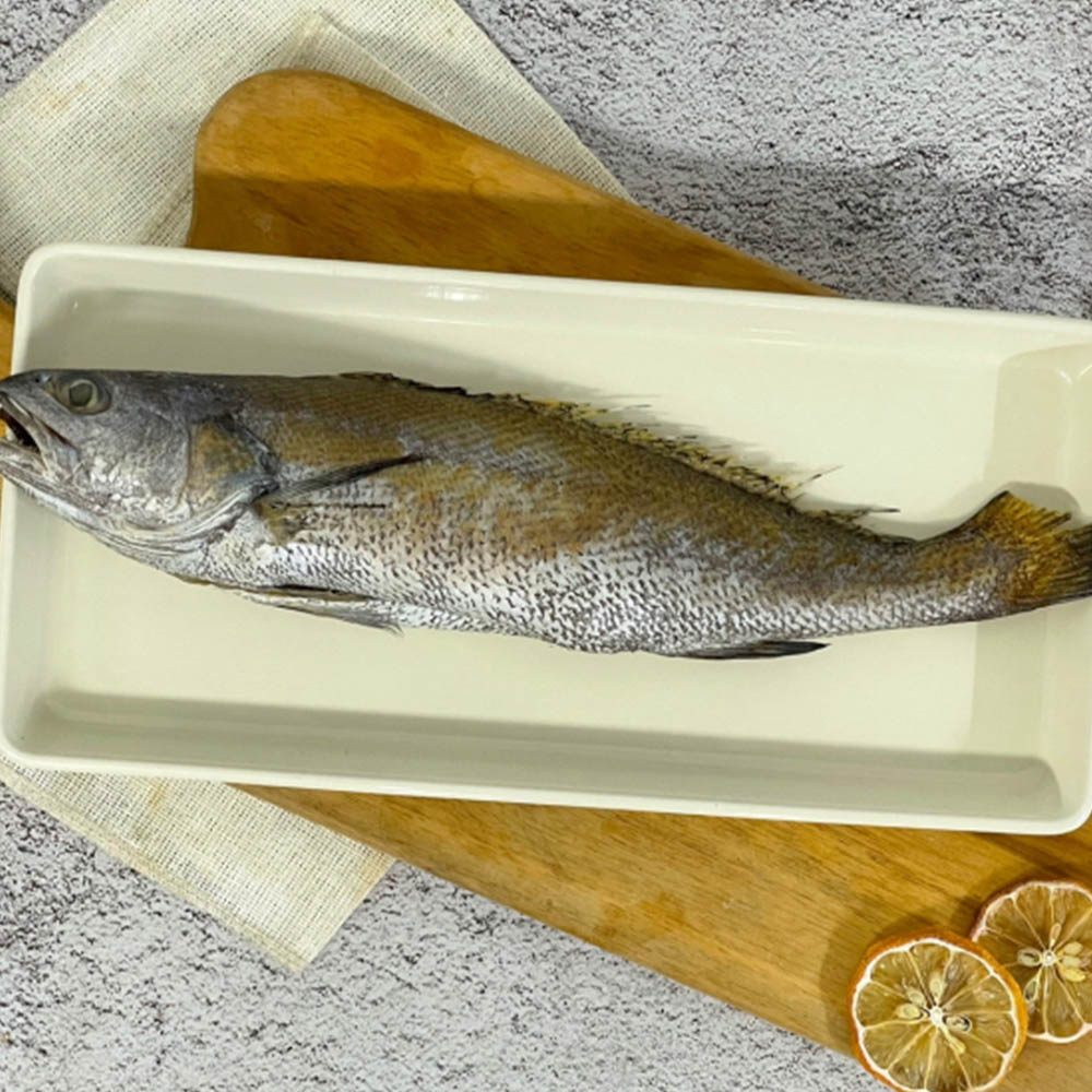 1697441437 thumbnail