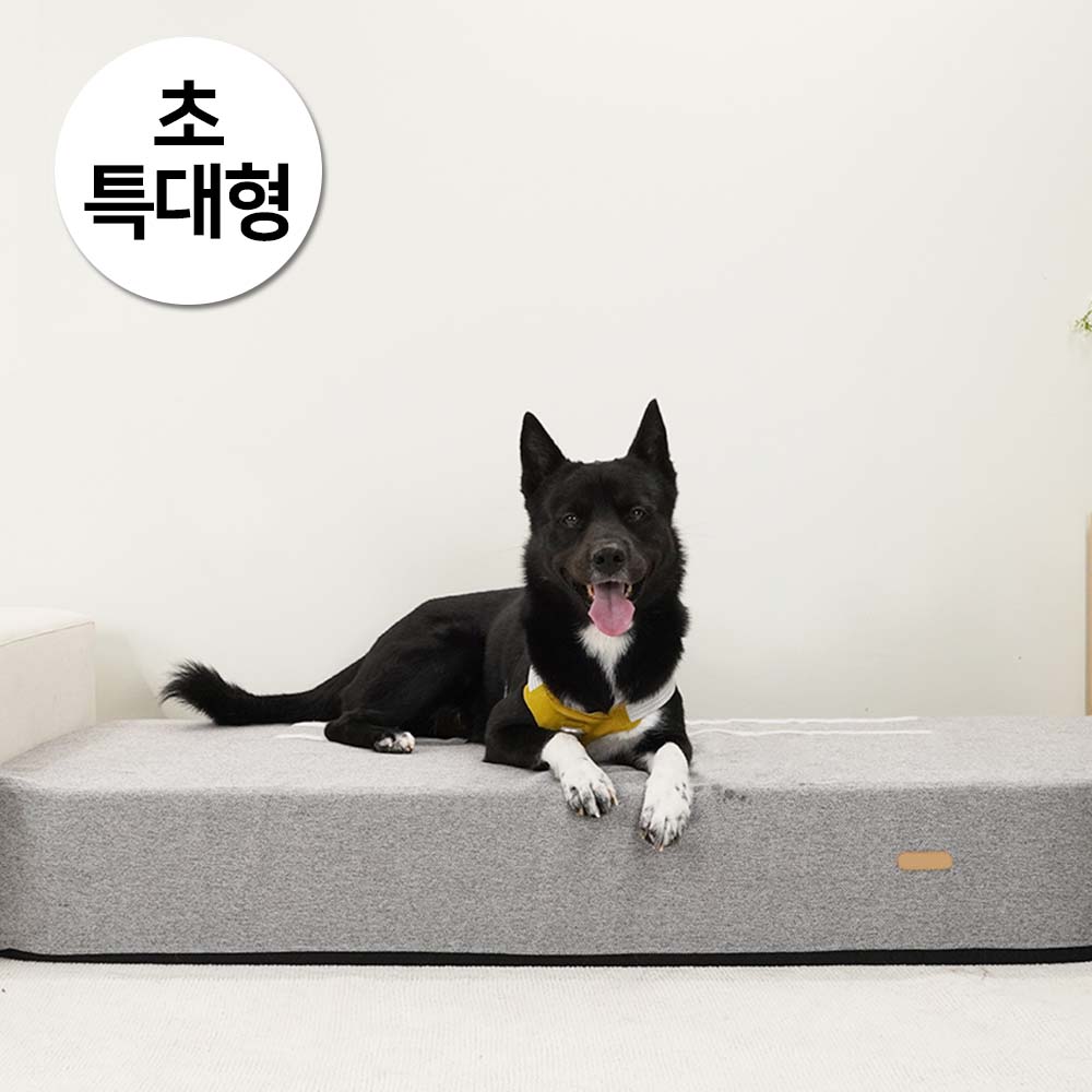 1697523968 thumbnail