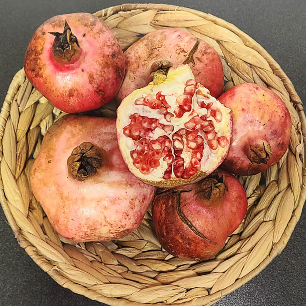 1697525144 thumbnail