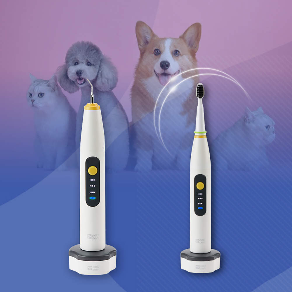 1697617263 thumbnail