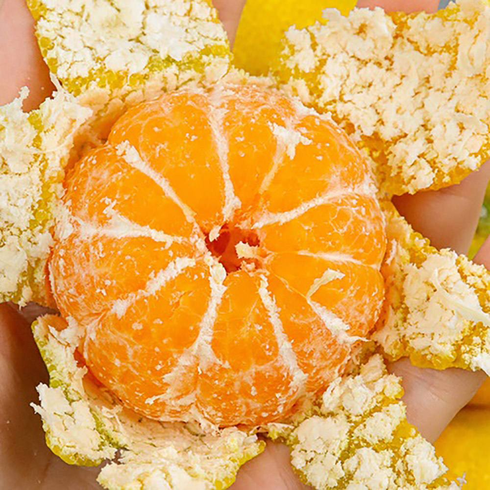 1697617275 thumbnail