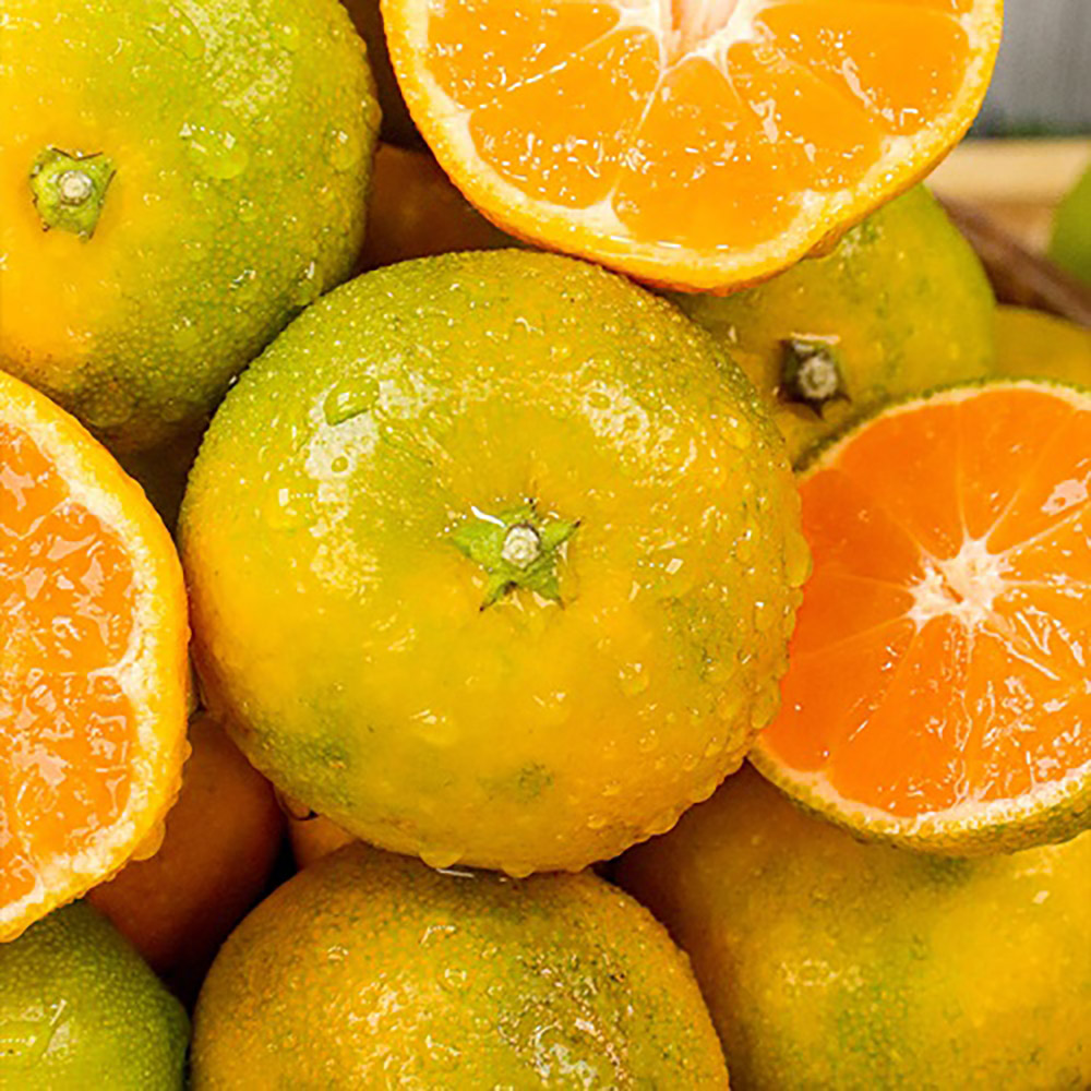 1697617277 thumbnail