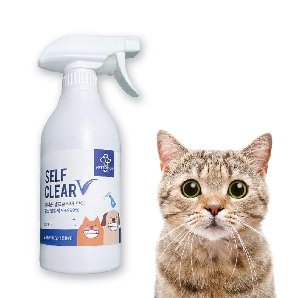 1697682254 thumbnail