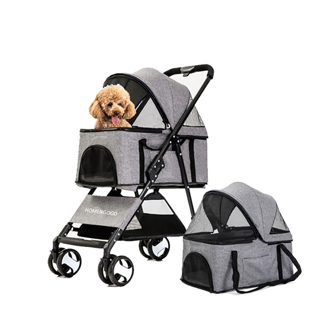 1697783210 thumbnail