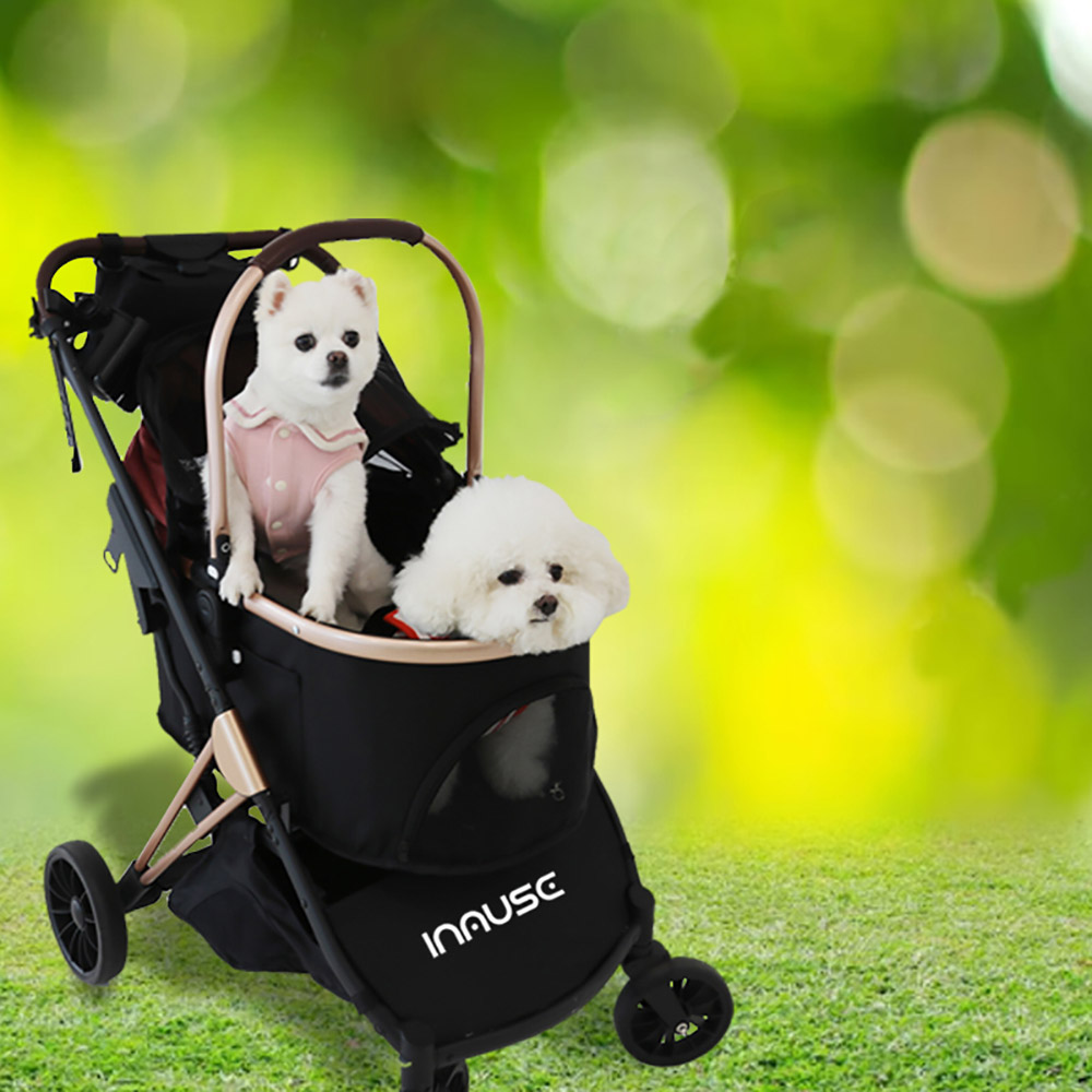 1697783211 thumbnail