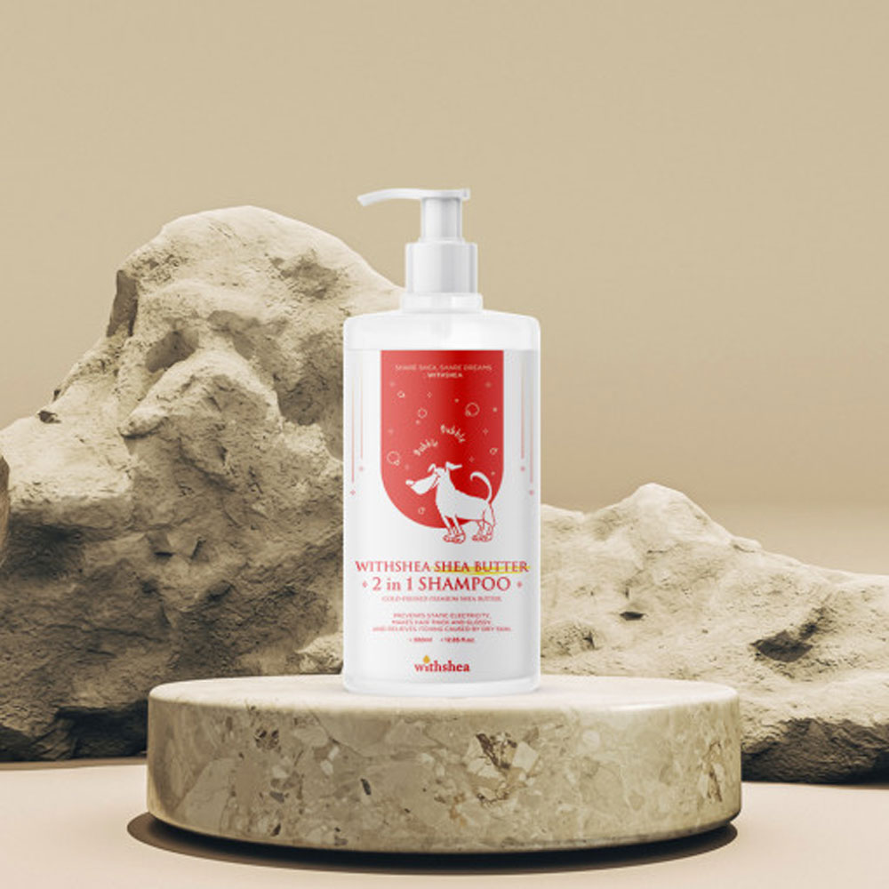 1698023171 thumbnail