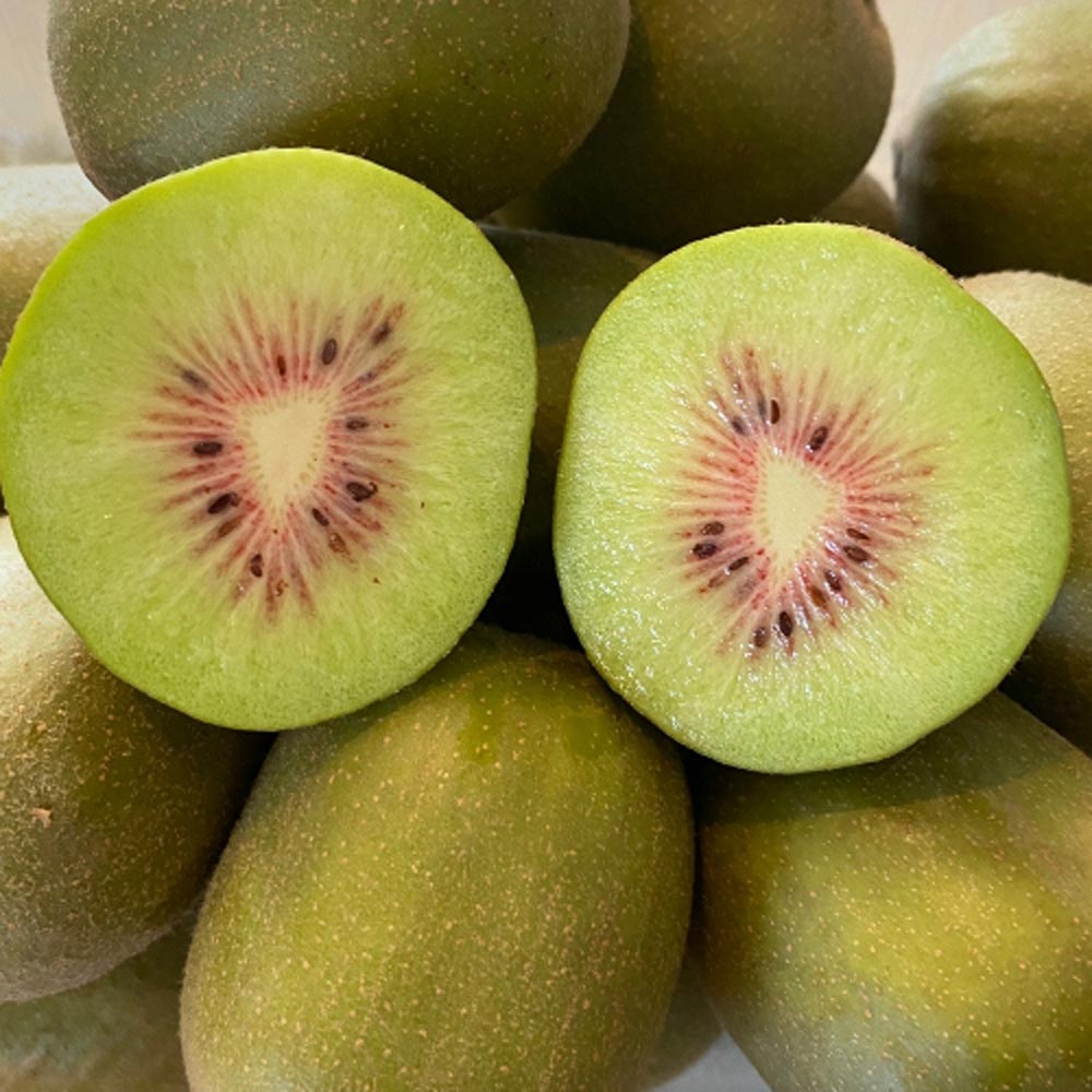 1698023182 thumbnail