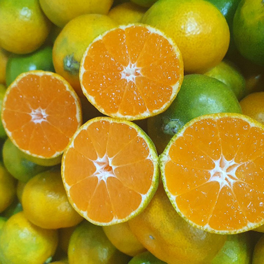 1698023184 thumbnail