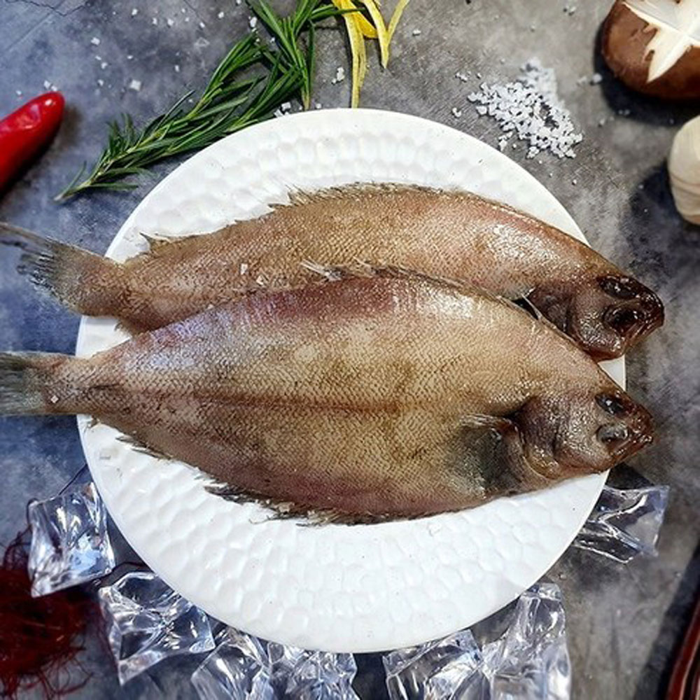 1698023188 thumbnail