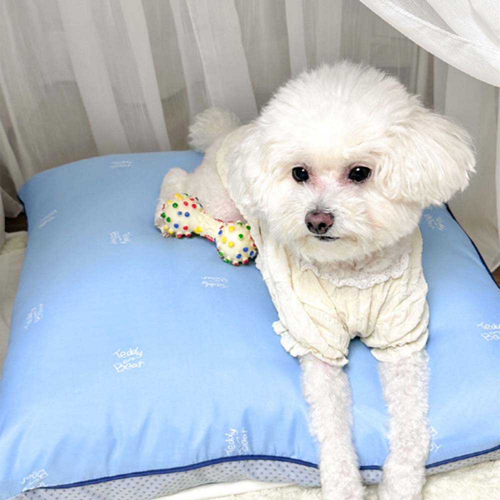 1698027053 thumbnail