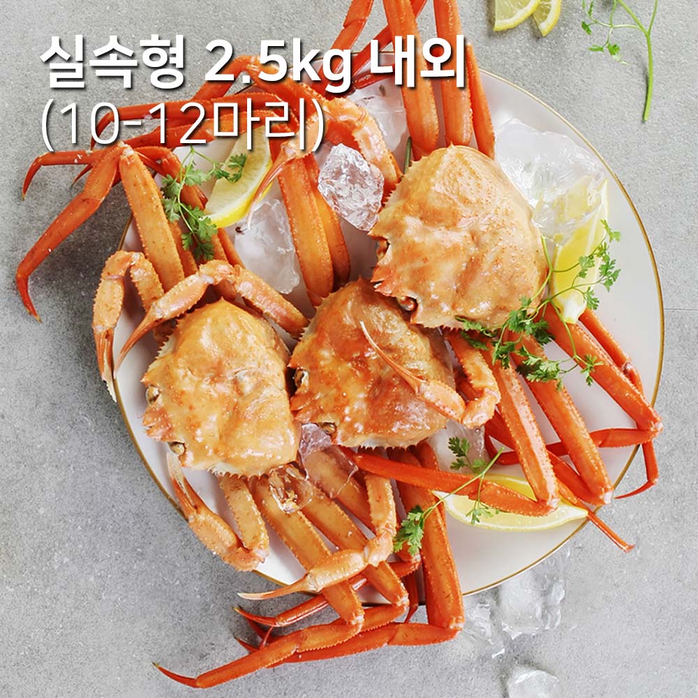 1698027082 thumbnail