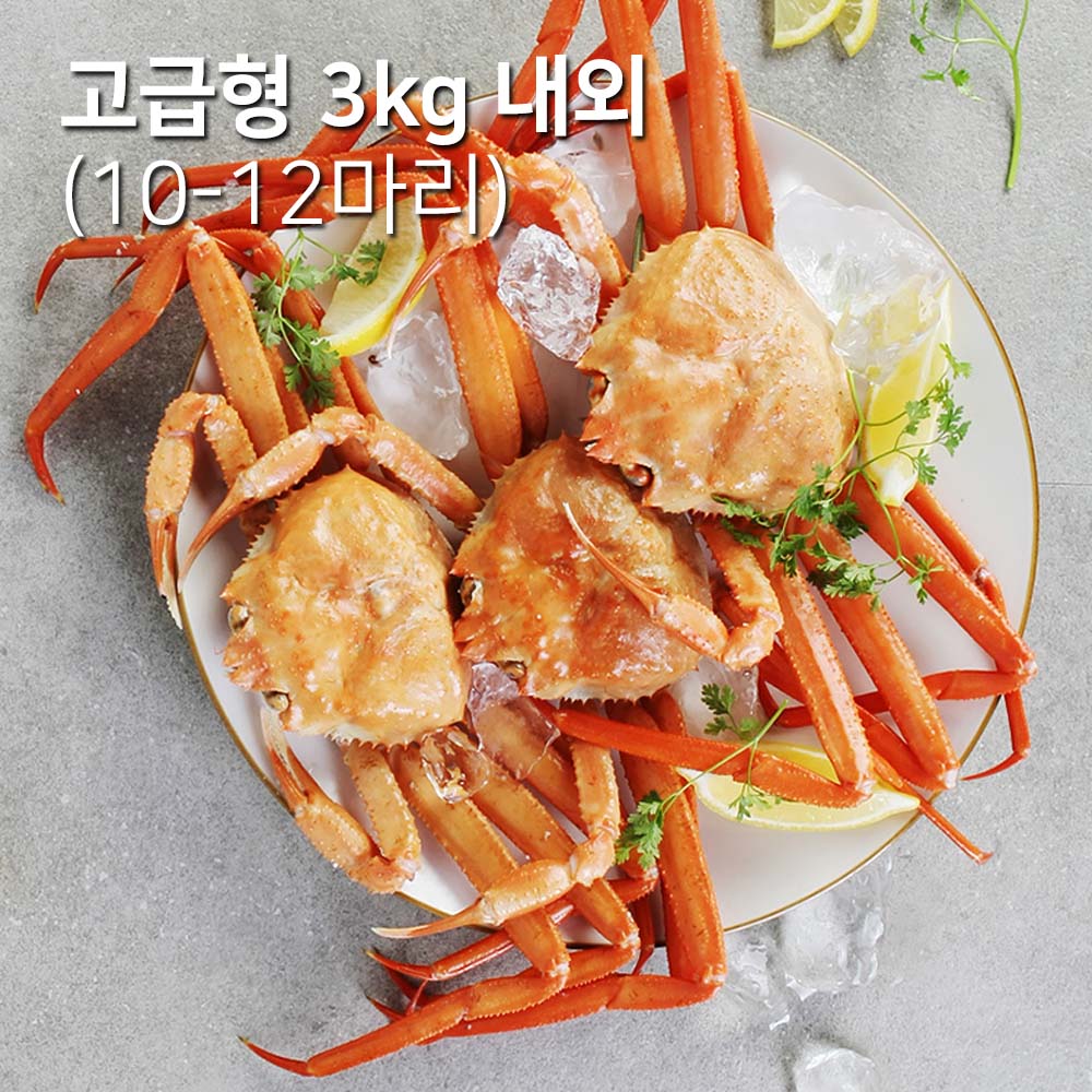 1698027084 thumbnail