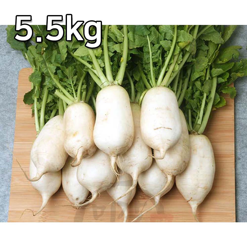 1698027110 thumbnail