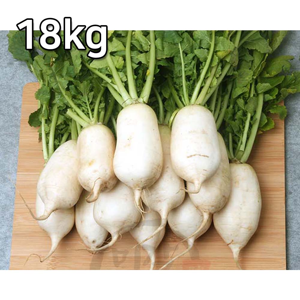 1698027112 thumbnail