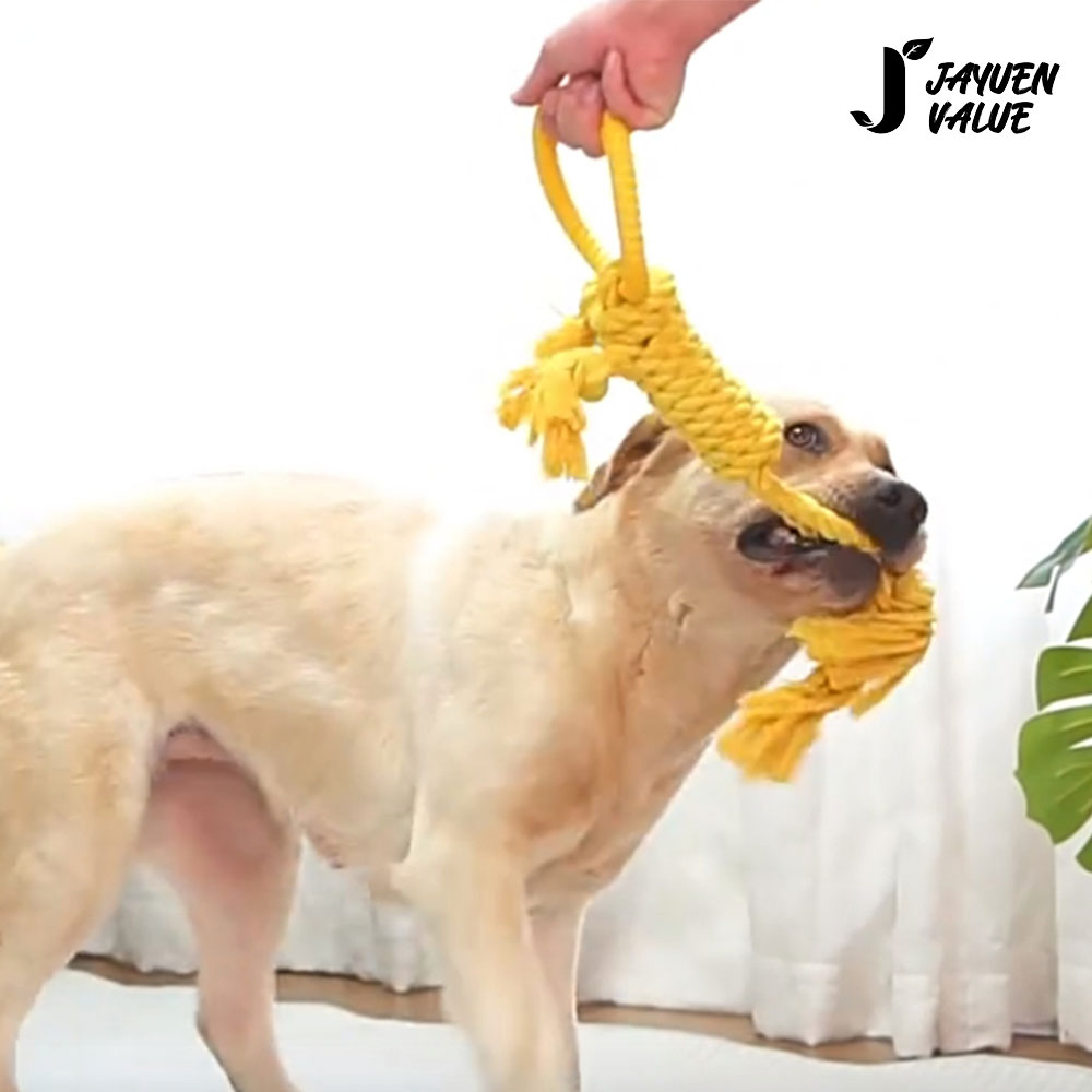 1698114372 thumbnail