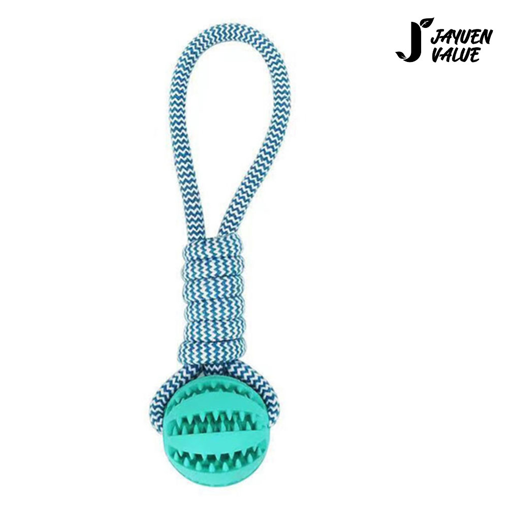 1698114375 thumbnail