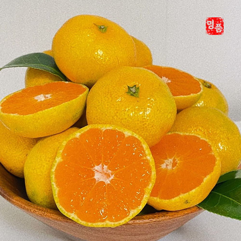 1698127811 thumbnail