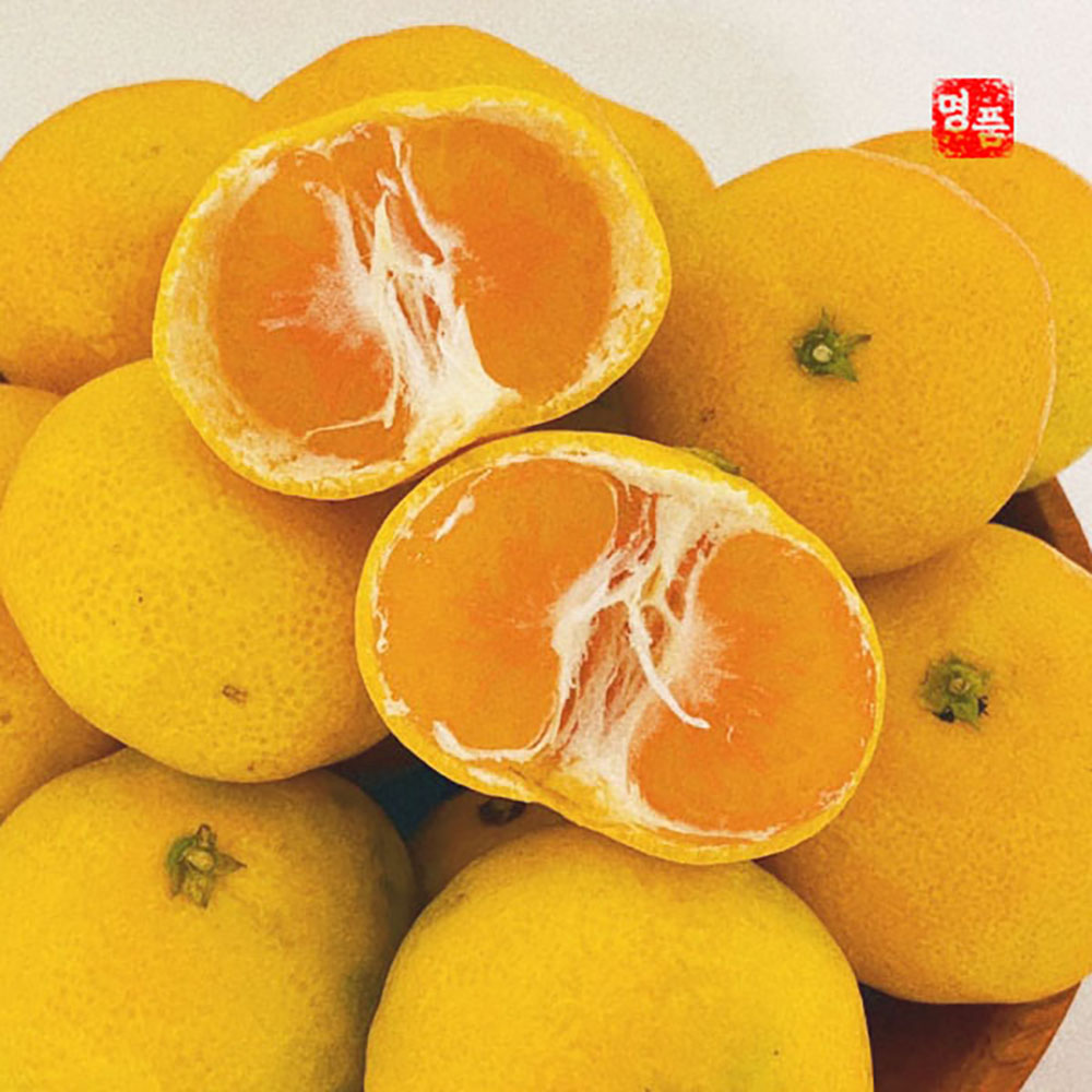 1698127812 thumbnail