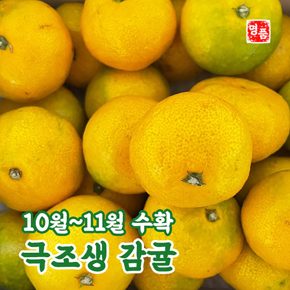 1698127814 thumbnail