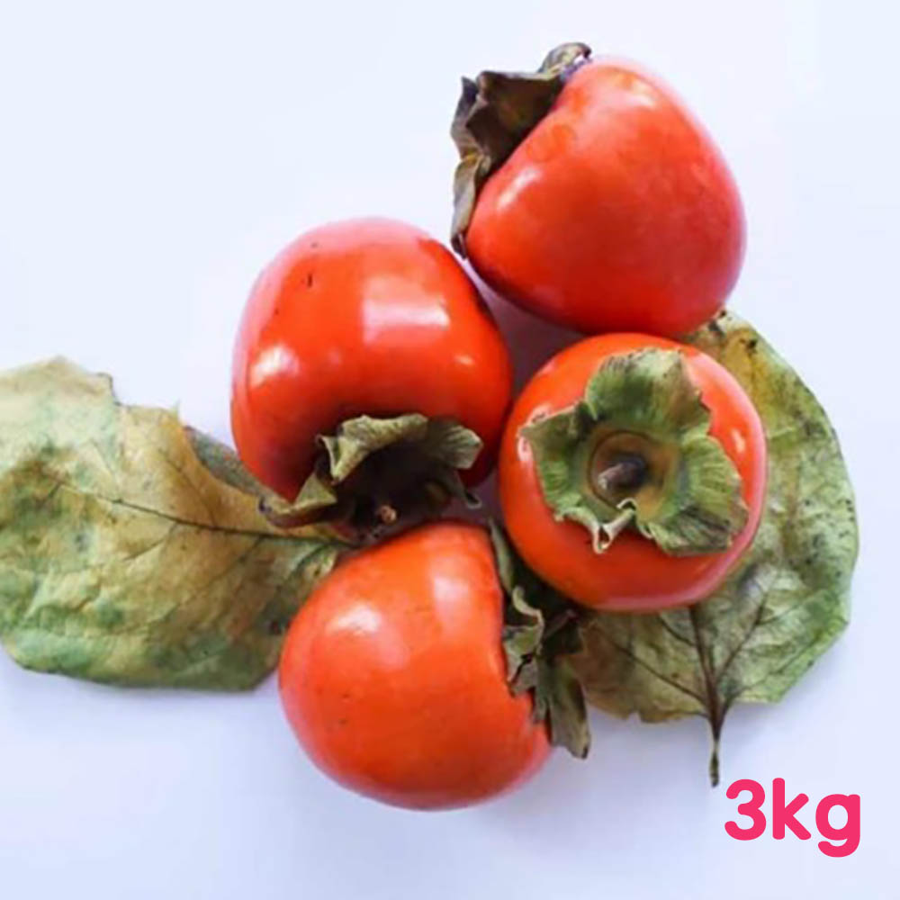 1698130906 thumbnail