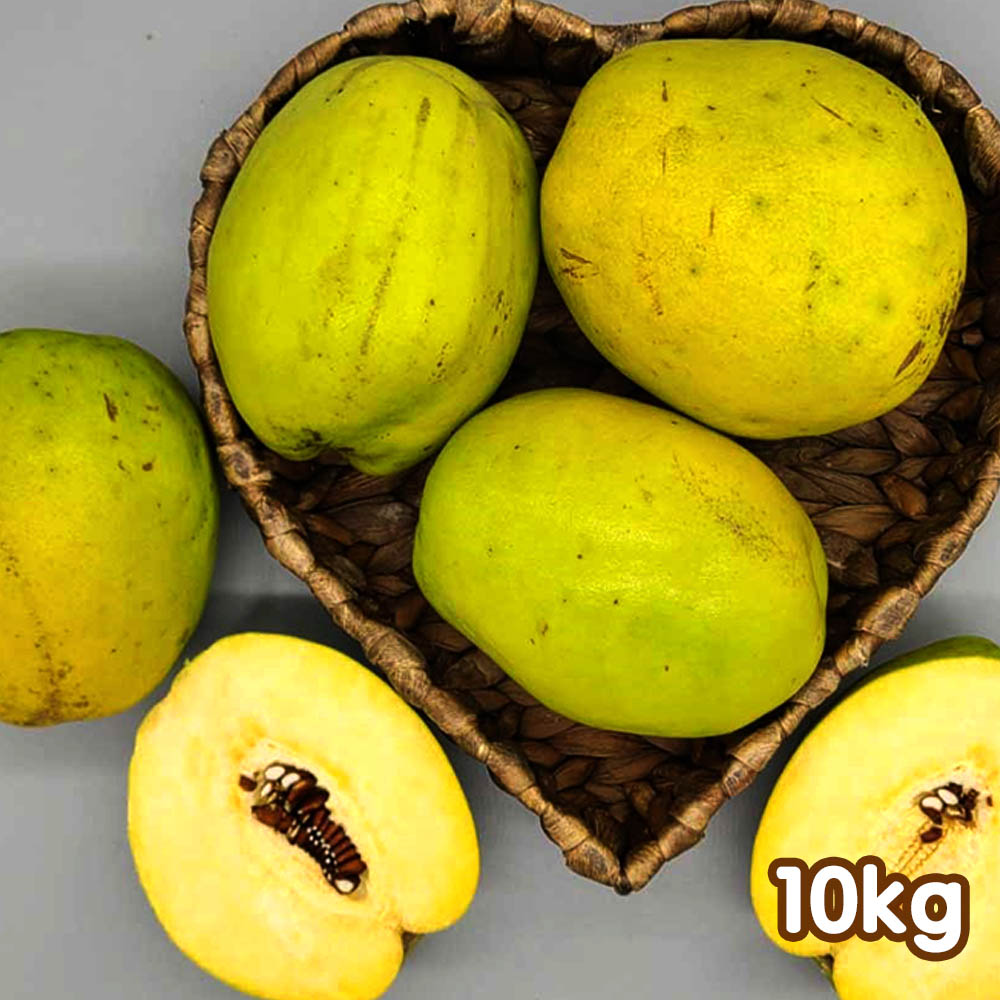 1698130910 thumbnail