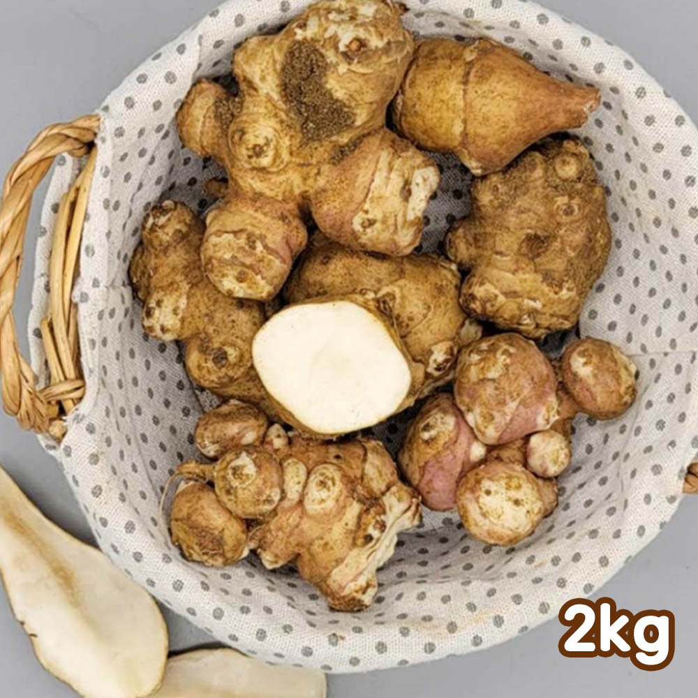 1698130911 thumbnail