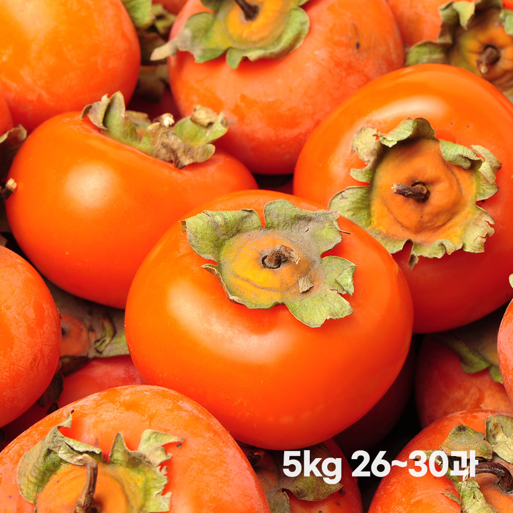 1698202300 thumbnail