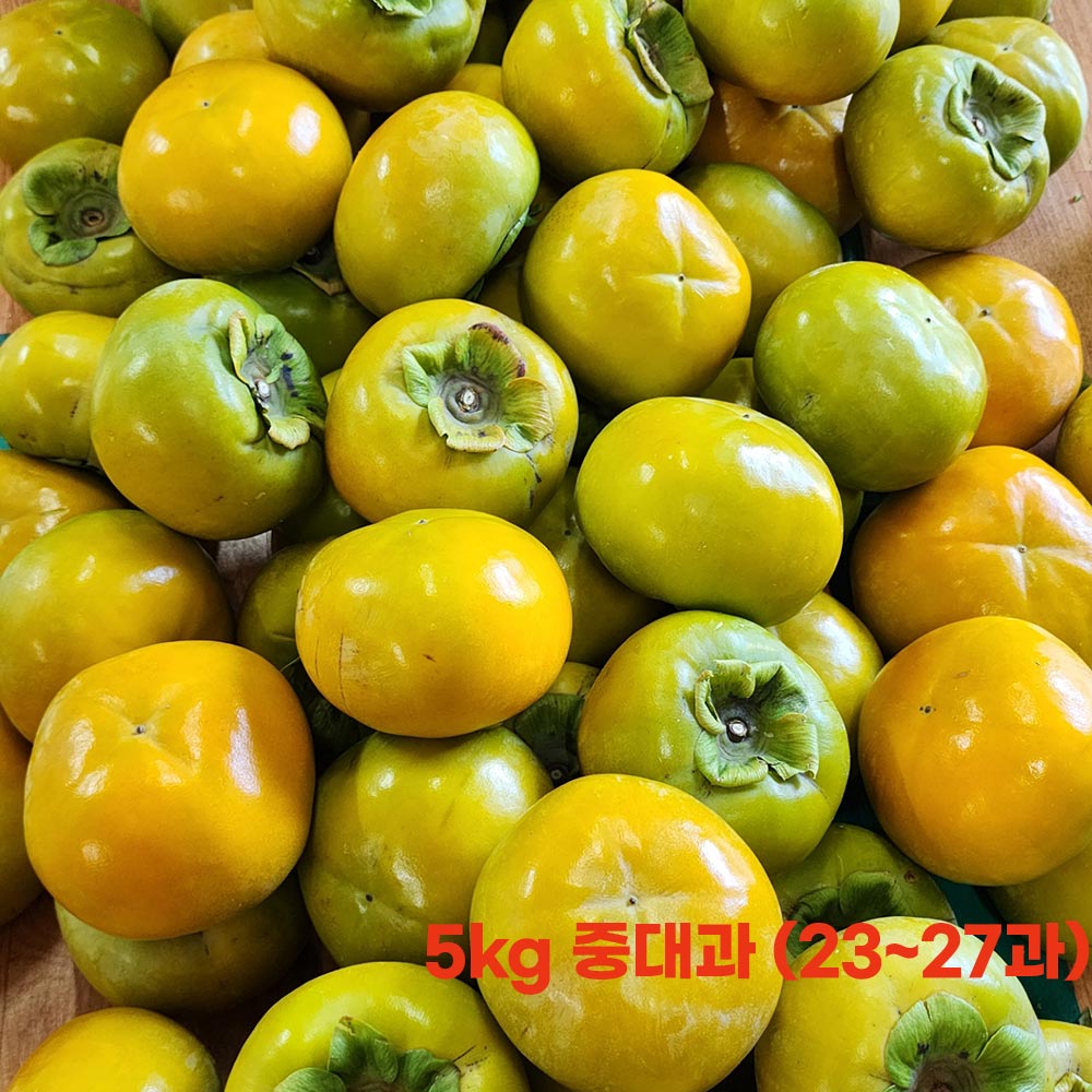 1698202305 thumbnail