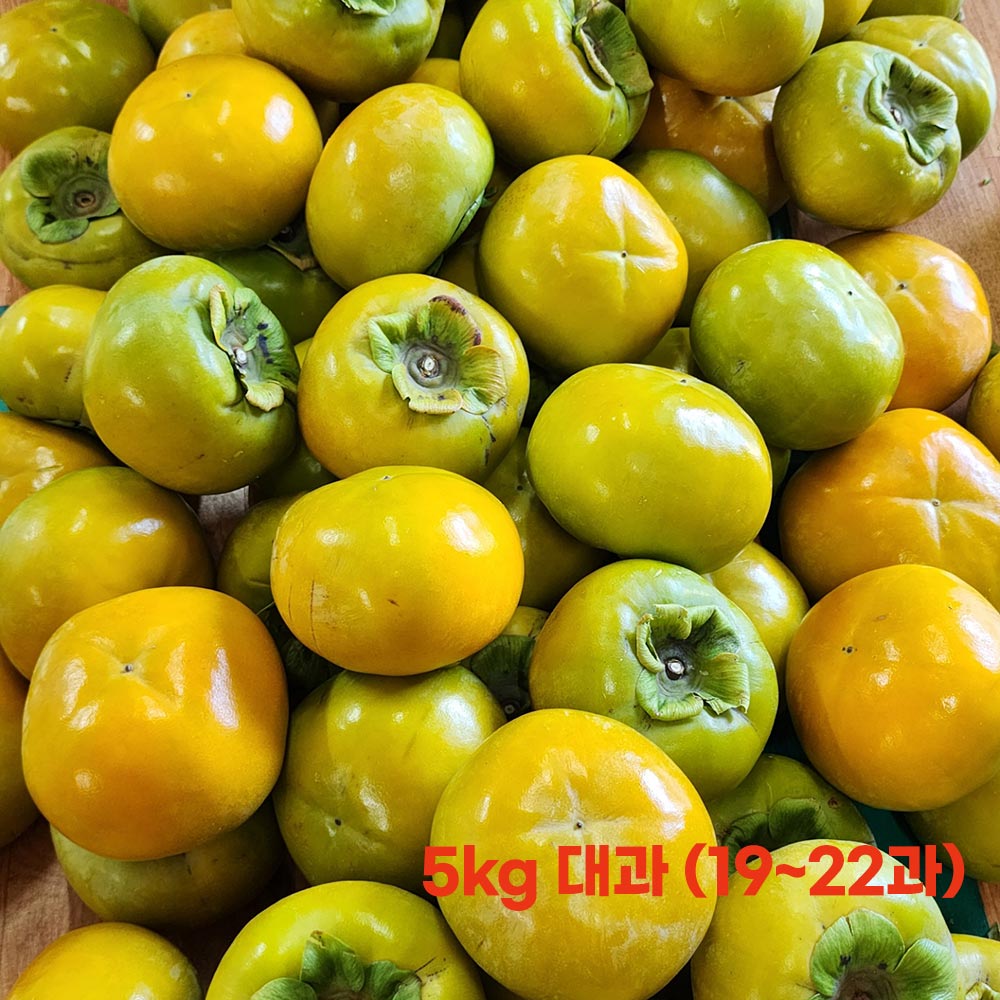 1698202306 thumbnail