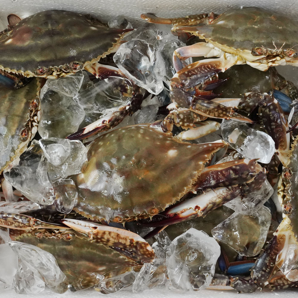 1698309021 thumbnail