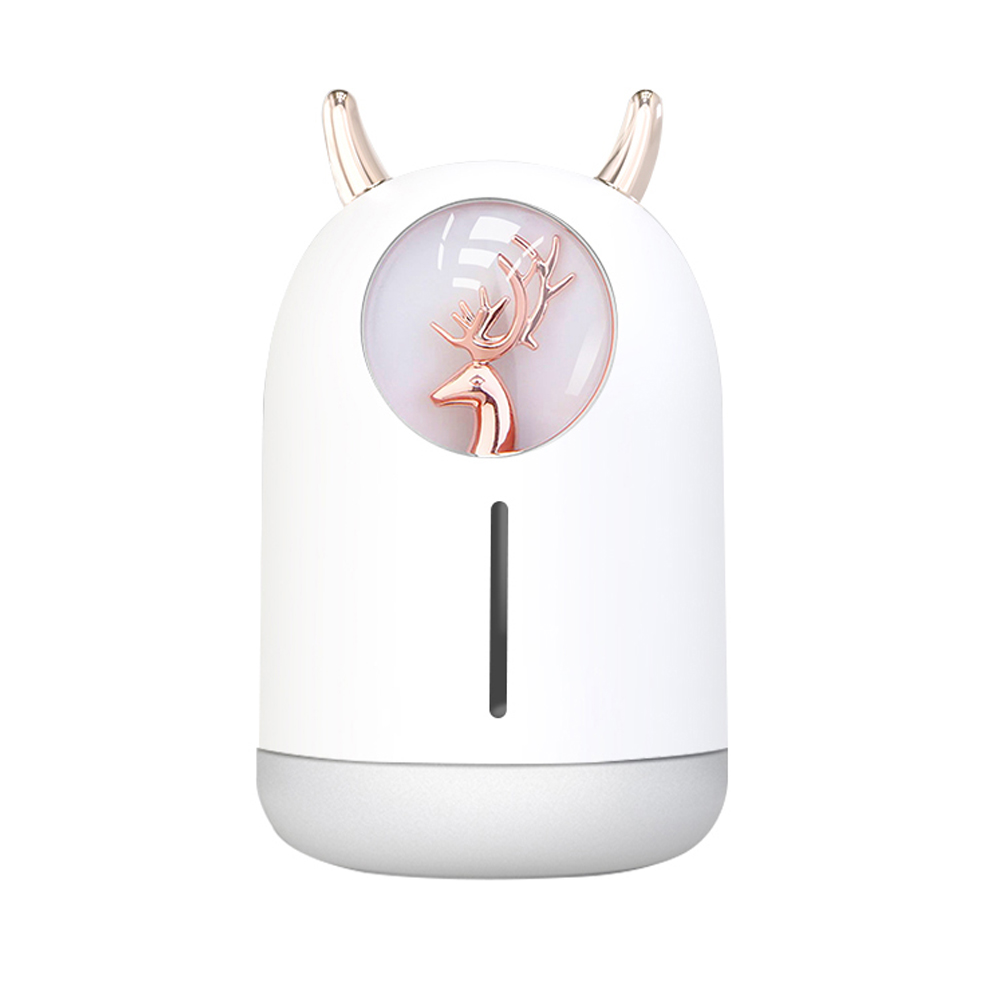 1698386024 thumbnail