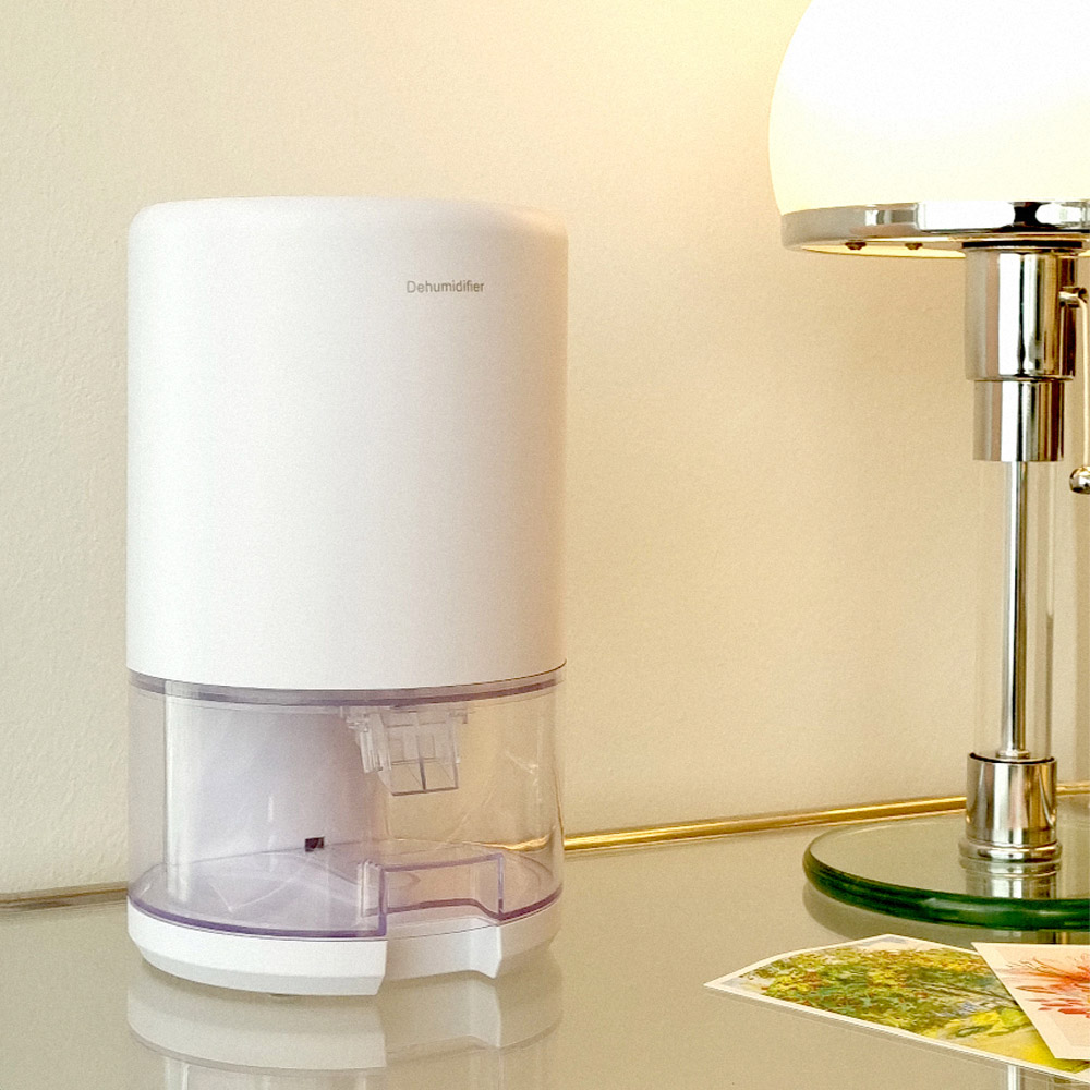 1698386028 thumbnail