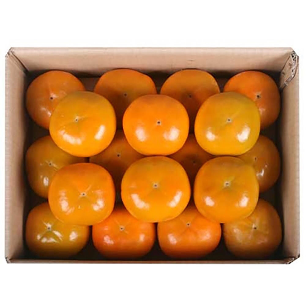 1698394344 thumbnail