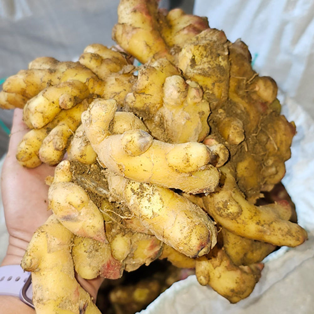 1698721165 thumbnail