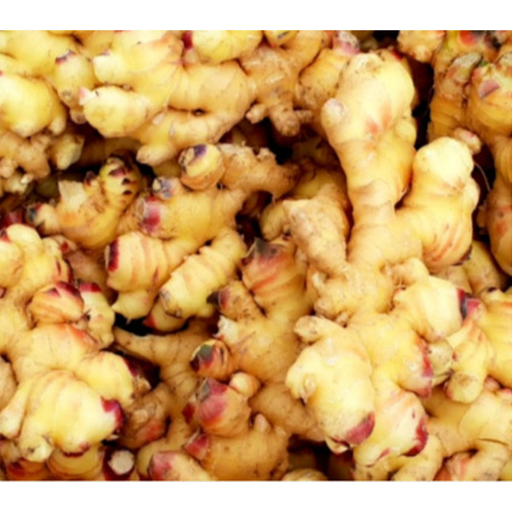 1698721166 thumbnail